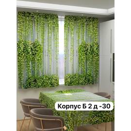 Комплект штор для кухни 3*1,7 м (без тюля)