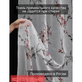 Кликните для увеличения изображения
