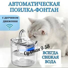 Кликните для увеличения изображения