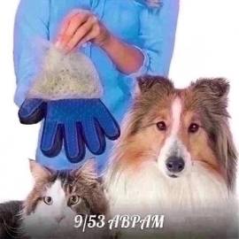 Кликните для увеличения изображения