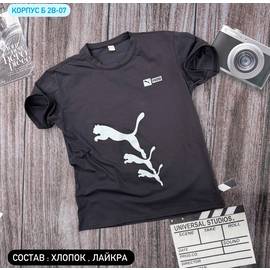 Футболка мужская