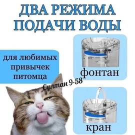 Кликните для увеличения изображения