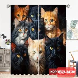Кликните для увеличения изображения