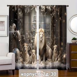 Кликните для увеличения изображения