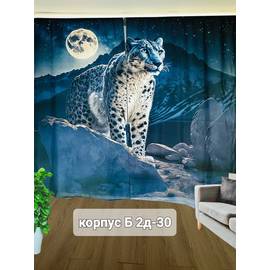 Кликните для увеличения изображения