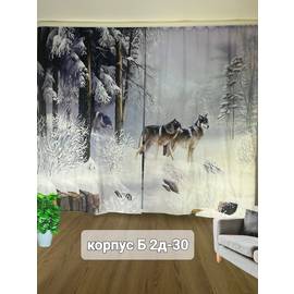 Кликните для увеличения изображения