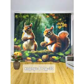Кликните для увеличения изображения
