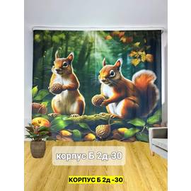 Кликните для увеличения изображения