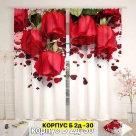 Кликните для увеличения изображения