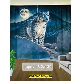 Кликните для увеличения изображения