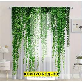 Кликните для увеличения изображения