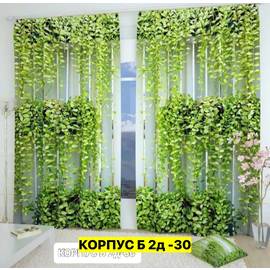 Кликните для увеличения изображения