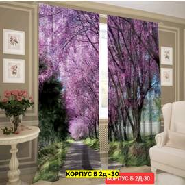 Кликните для увеличения изображения