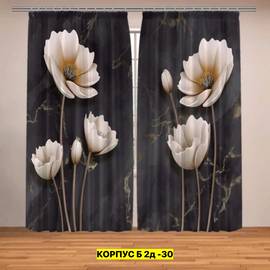 Кликните для увеличения изображения