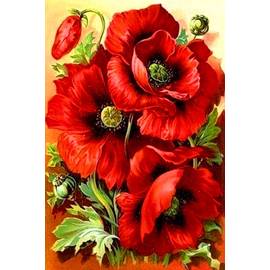 Алмазная мозаика 50*40 см с подрамником