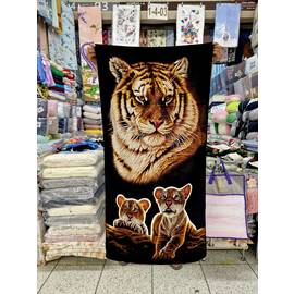 Кликните для увеличения изображения