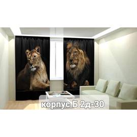 Портьеры с принтом, 3*2,6 см (без тюля)