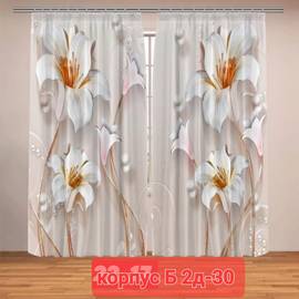 Портьеры с принтом, 3*2,6 см (без тюля)