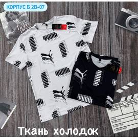 Футболка мужская
