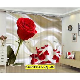 Портьеры с принтом 2,9*2,6 м/ без тюля