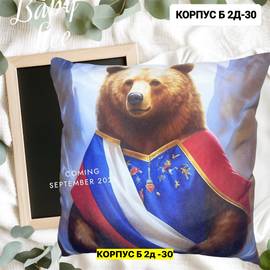 Подушка декоративная 30*30 см (принт без выбора)