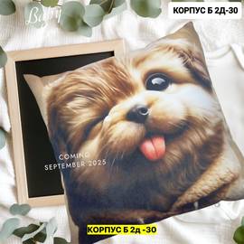 Подушка декоративная 30*30 см (принт без выбора)