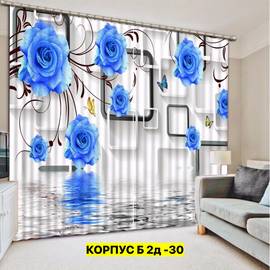 Шторы с принтом 2,9*2,6 м / без тюля