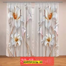 Шторы с принтом 2,9*2,6 м / без тюля