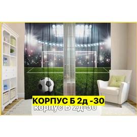 Портьеры с принтом 2,9*2,6 м/ без тюля