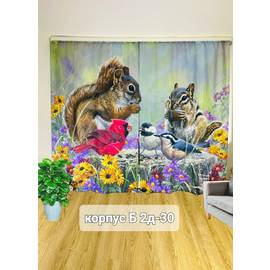 Кликните для увеличения изображения