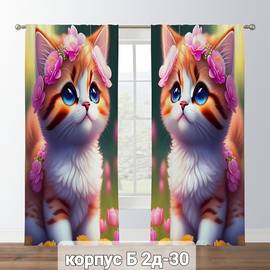 Кликните для увеличения изображения