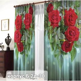 Шторы с принтом / без тюля 2,9*2,6 м