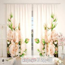 Шторы с принтом / без тюля 2,9*2,6 м
