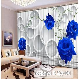 Шторы с принтом / без тюля 2,9*2,6 м