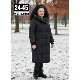 Кликните для увеличения изображения
